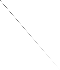 website-design-and-development-company